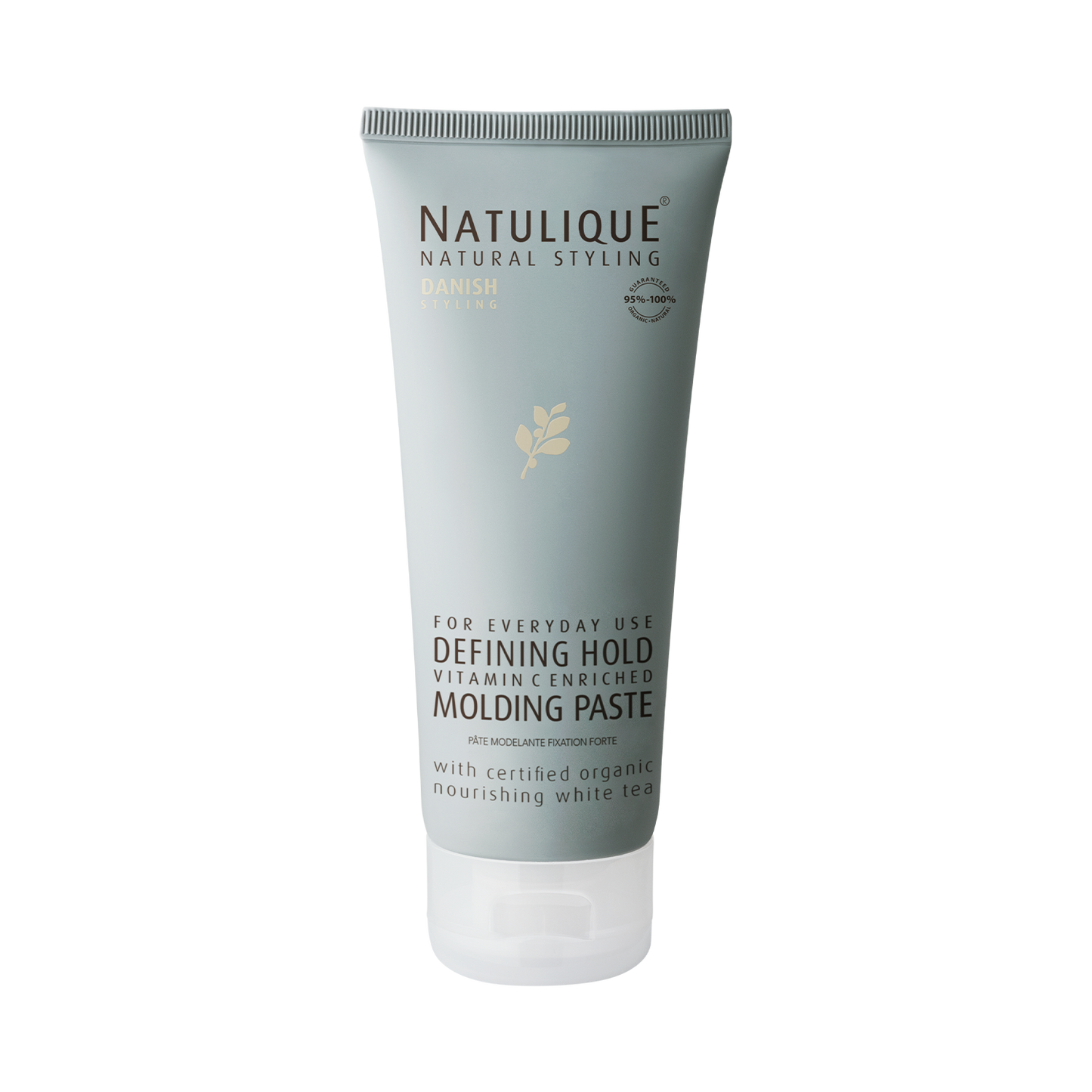 Defining Hold Molding Paste