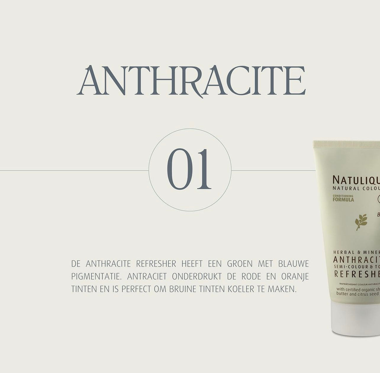 Refresher Anthracite