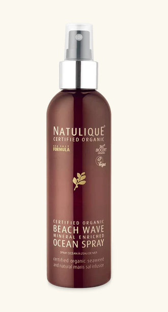Beach Wave Ocean Spray