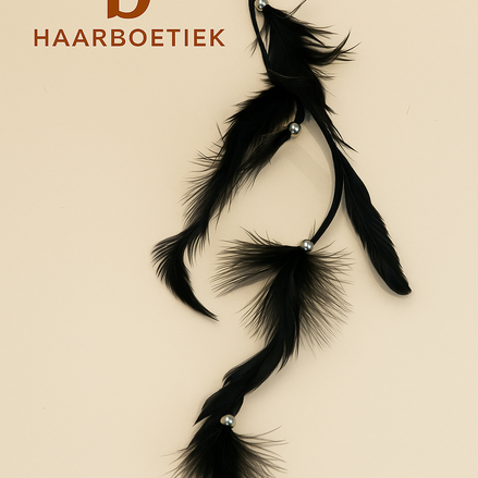 All feather clip-in zwart