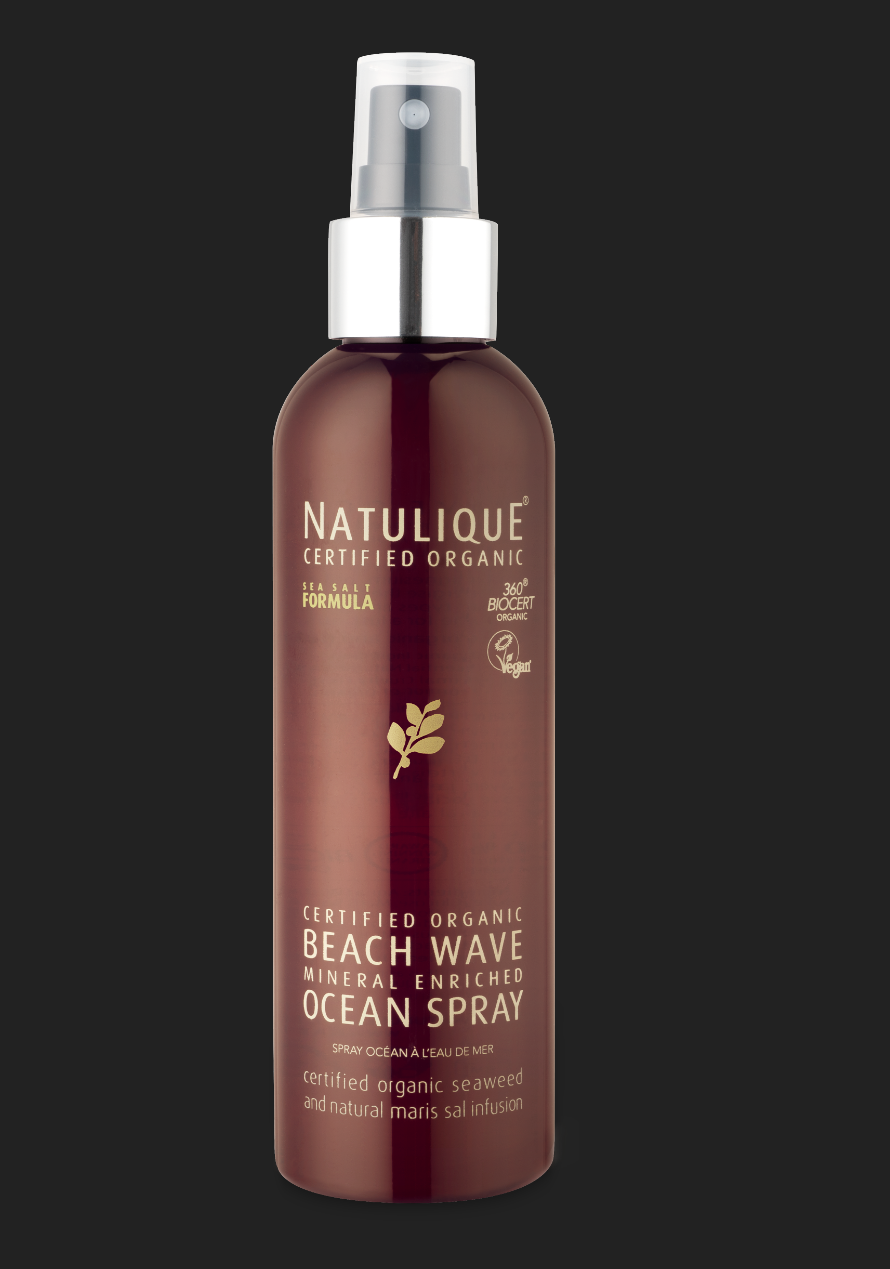 Beach Wave Ocean Spray