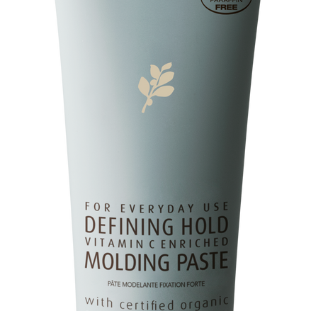 Defining Hold Molding Paste